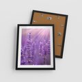Plakat w ramie 40x50 - Fioletowa harmonia lawendy - lawenda, fiolet - rama czarna