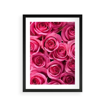 Plakat w ramie 50x70 - Romantyczne róże w pełnym rozkwicie - róże, kwiaty - rama czarna