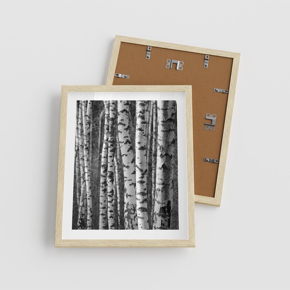 Plakat w ramie 40x50 - Kontrast Monochromatyczny - brzozy, czarno - rama drewno