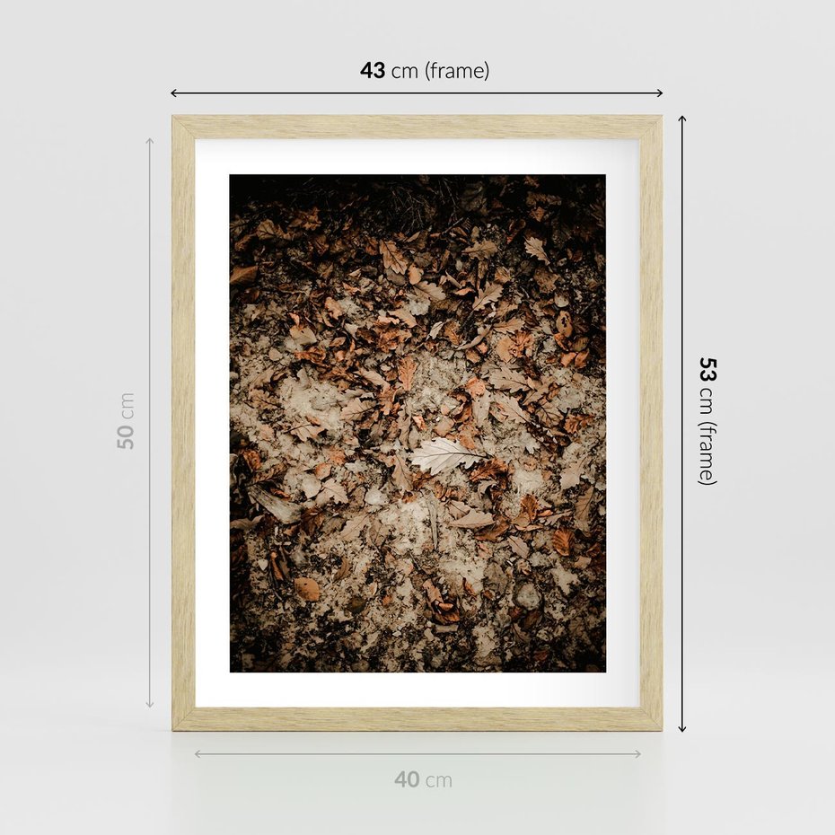 Plakat w ramie 40x50 - Suchość Liści w Brązowych Tonach - suche liście jesień brąz - rama drewno