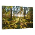 Obraz na płótnie 120x80 - Obfitość natury - las, drzewa