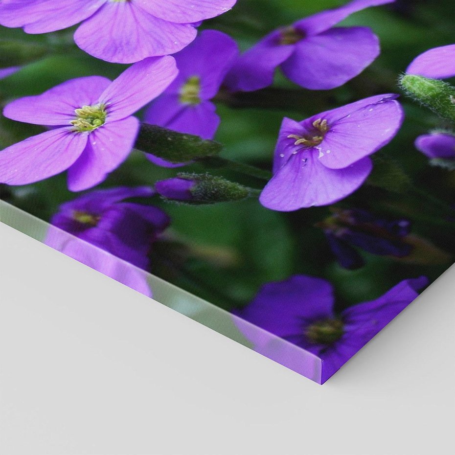 Obraz na płótnie 70x100 - Kwiatowe uniesienia magia natury - kwiat, kwiaty