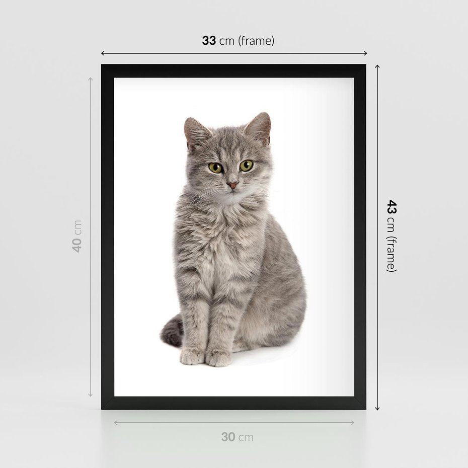 Plakat w ramie 30x40 - Kocie uroki na płótnie - kot, kotek - rama czarna