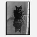 Obraz w ramie 50x70 - Kocie Oczy - kot, czarno białe zdjęcie - rama czarna