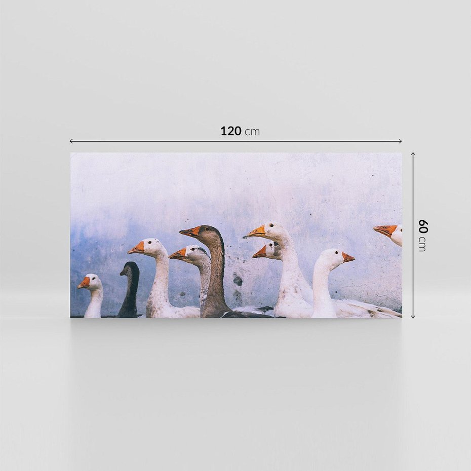 Obraz na płótnie 120x60 - Spotkanie Wśród Piór - uchwycony moment, fotografia