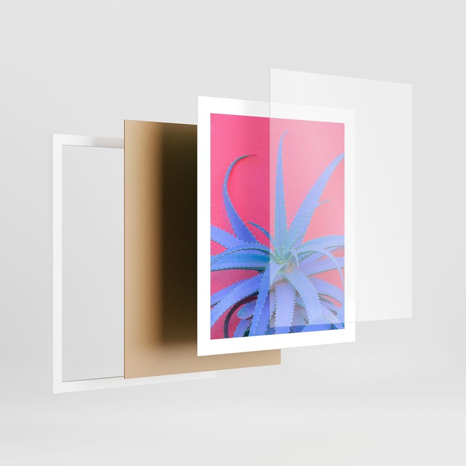 Plakat w ramie 40x50 - Piękno Pustyni - kaktusy, liście - rama biała