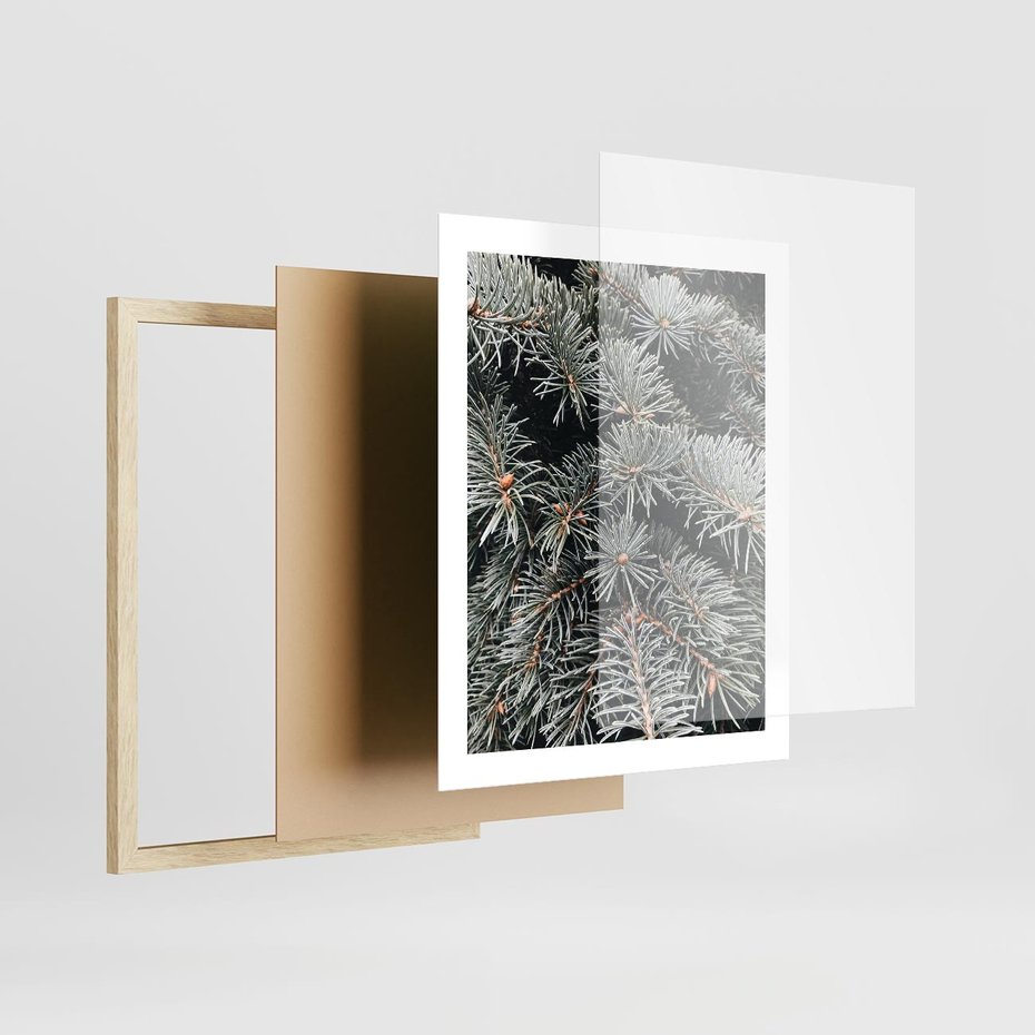 Plakat w ramie 40x50 - Zima na Gałęziach - sosnowe gałęzie, igły - rama drewno