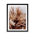 Plakat w ramie 50x70 - Sztuka Suszonych Traw - trawa pampas, suszone trawy - rama czarna