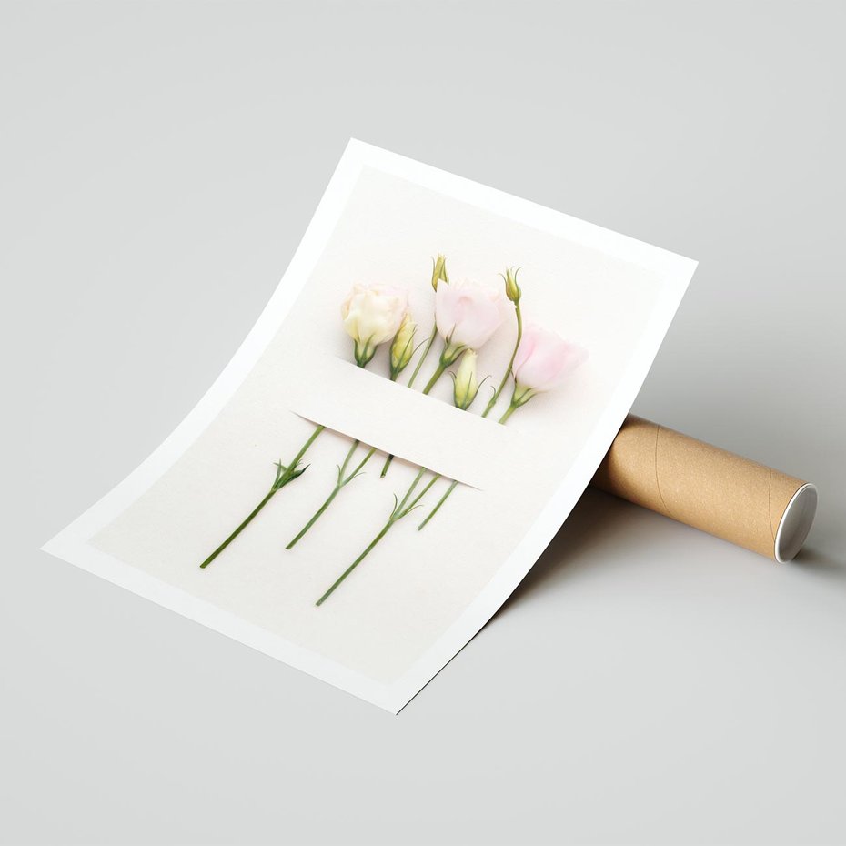 Plakat bez ramy 21x30 - Białe kwiatowe uniesienia - białe, kwiaty