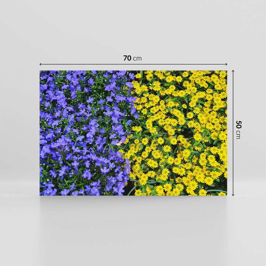 Obraz na płótnie 70x50 - Tulipanowe Elegancja - kwiat, kwiaty