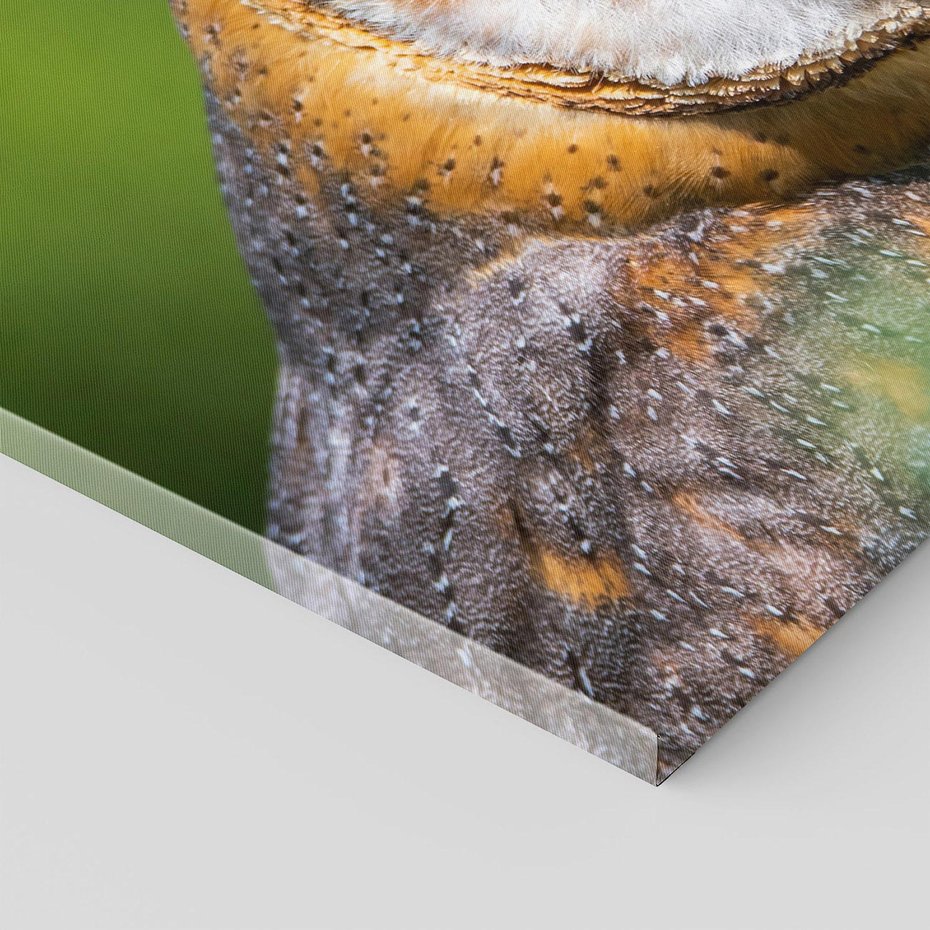 Obraz na płótnie 100x70 - Sowa nocą - sowa, ptak