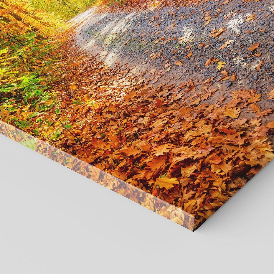 Obraz na płótnie 80x120 - Kolorowe drzewa na ścieżce jesieni - las, jesień