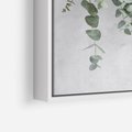 Obraz w ramie 50x70 - Uwodzicielska zieleń eukaliptusa - eukaliptus, zielone - rama biała