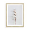 Plakat w ramie 50x70 - Minimalistyczna Gałązka Bawełny - bawełna, gałązka bawełny - rama drewno