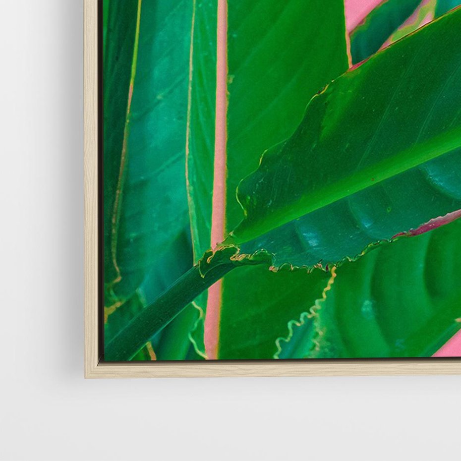 Obraz w ramie 70x50 - Odezwij się do przeszłości - liście, retro - rama drewno