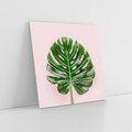 Obraz na płótnie 30x30 - Egzotyczna Roślinność - liście, monstera