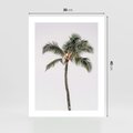 Plakat bez ramy 30x40 - Wakacyjne Marzenia - palma na tle nieba