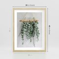 Plakat w ramie 30x40 - Uwodzicielska zieleń eukaliptusa - eukaliptus, zielone - rama drewno