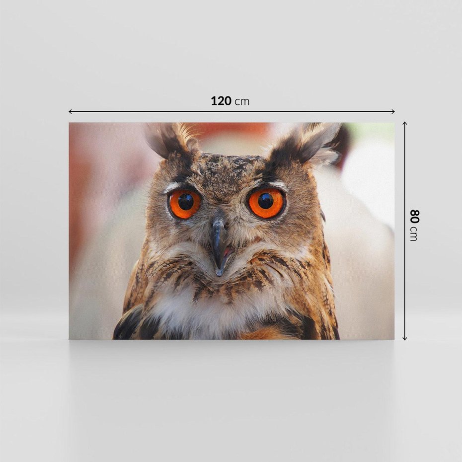 Obraz na płótnie 120x80 - Mądra sowa w locie - sowa, ptak