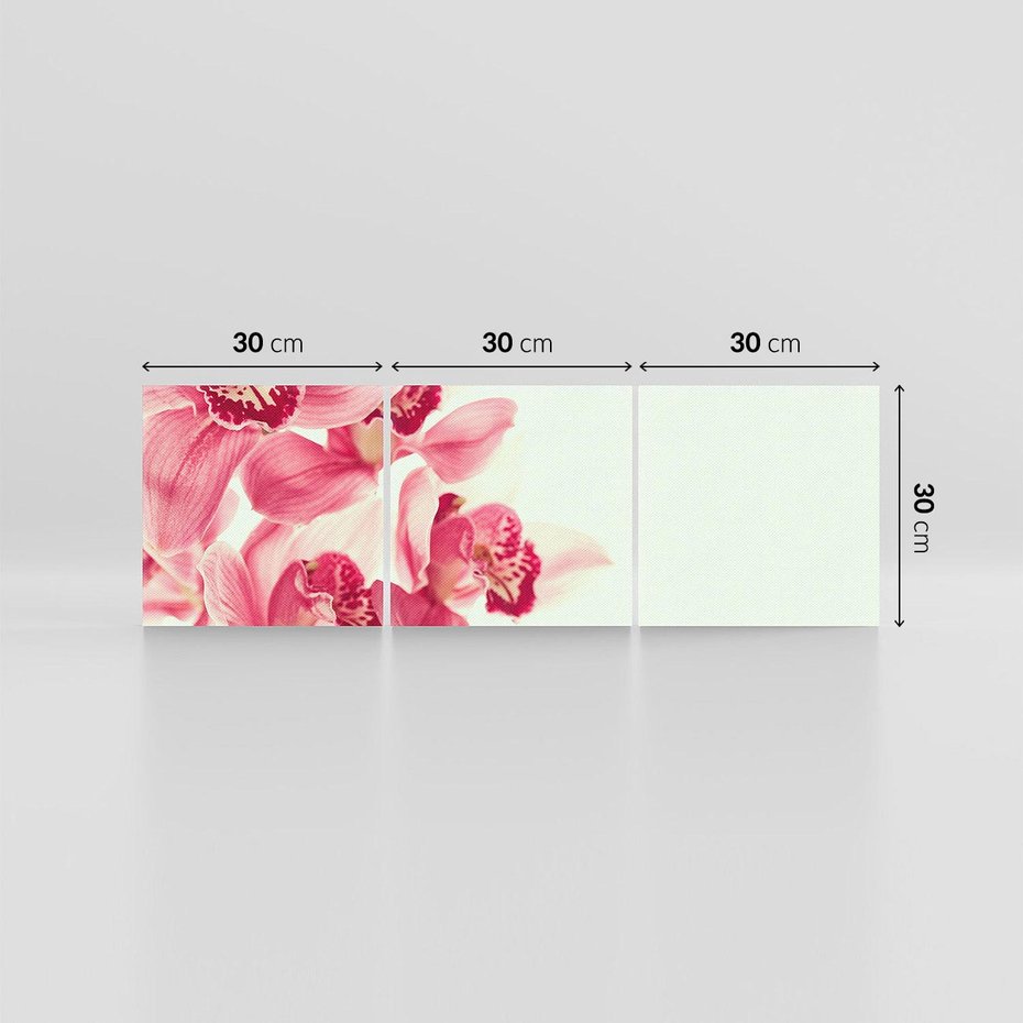 Obraz na płótnie 90x30 - Orchidea - delikatne kwiaty - orchidea, kwiaty