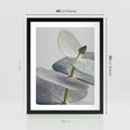 Plakat w ramie 40x50 - Zbliżenie Liści Eukaliptusa - eukaliptus, zbliżenie - rama czarna
