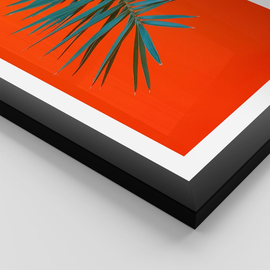 Plakat w ramie 50x70 - Egzotyczny Urok - liście, palma - rama czarna