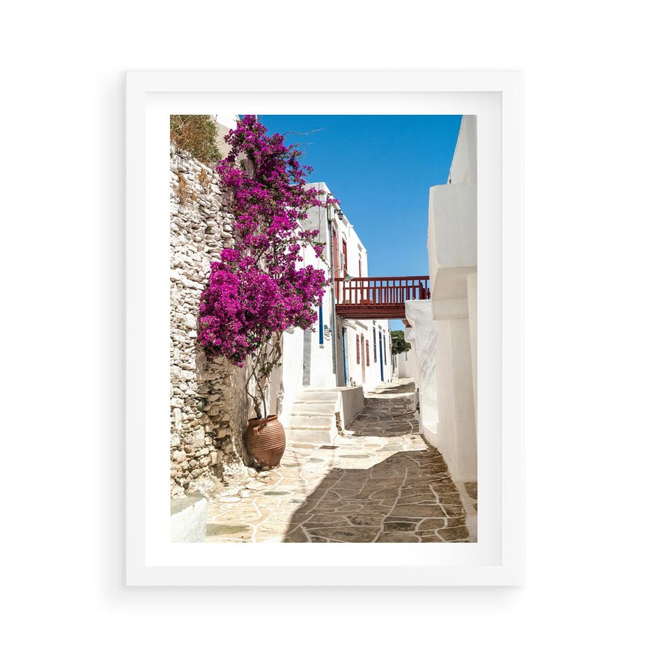 Plakat w ramie 50x70 - Kwiaty Chorwacji - kwiaty, Chorwacja - rama biała