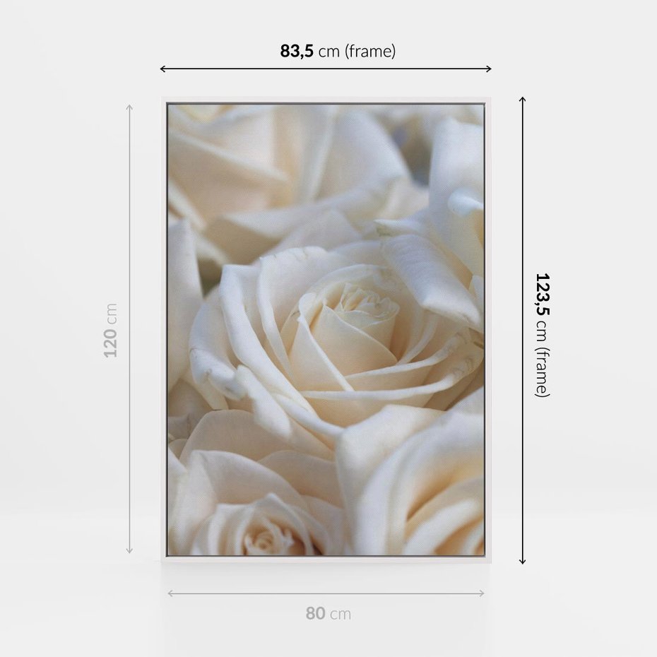 Obraz w ramie 80x120 - Białe róże piękności - białe, róże - rama biała