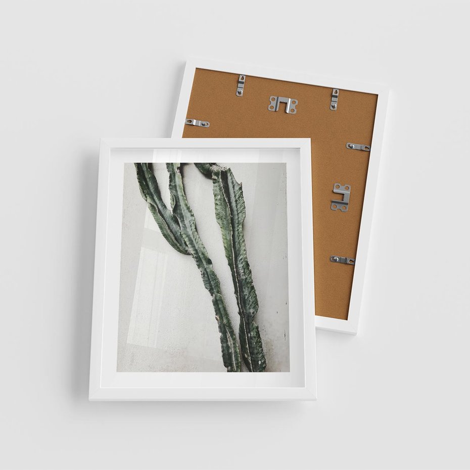 Plakat w ramie 40x50 - Zielona Roślina z Liśćmi - zielona roślina, liście - rama biała