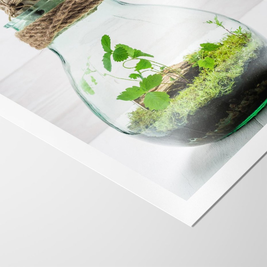 Plakat bez ramy 40x50 - Żywioł Natury - liście, zieleń