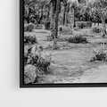 Obraz w ramie 50x70 - Mroczna Ścieżka Tropików - czarno biała fotografia, ścieżka pośród palm - rama czarna