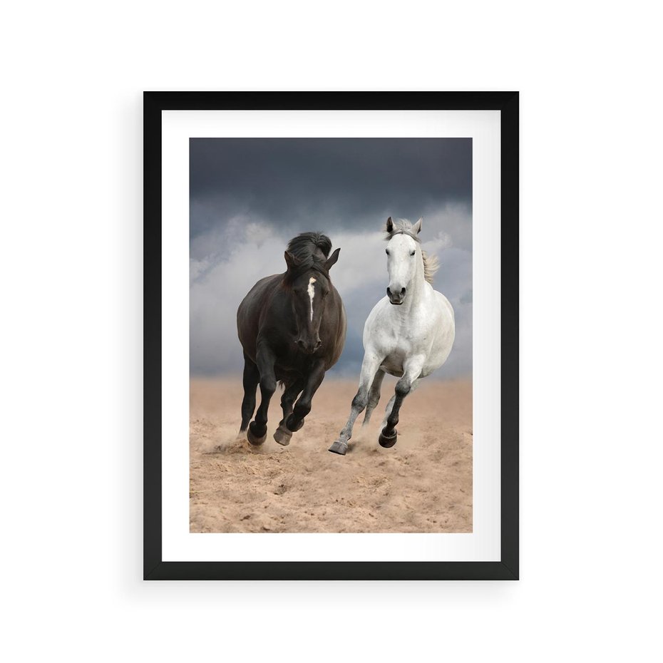 Plakat w ramie 30x40 - Siła koni w galopie - konie, galop - rama czarna