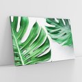 Obraz na płótnie 120x80 - Monstera - Liście Kwiaty - monstera, liście