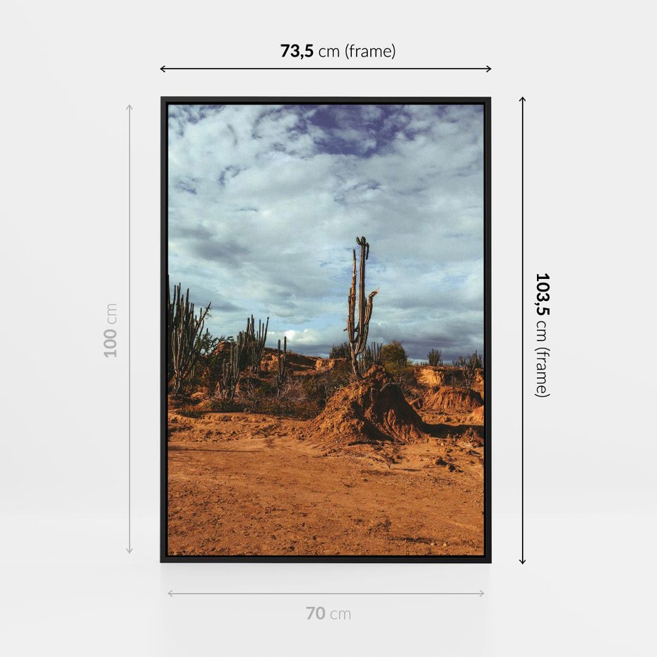 Obraz w ramie 70x100 - Skarby Pustynnego Kanionu - pustynia, kaktusy - rama czarna