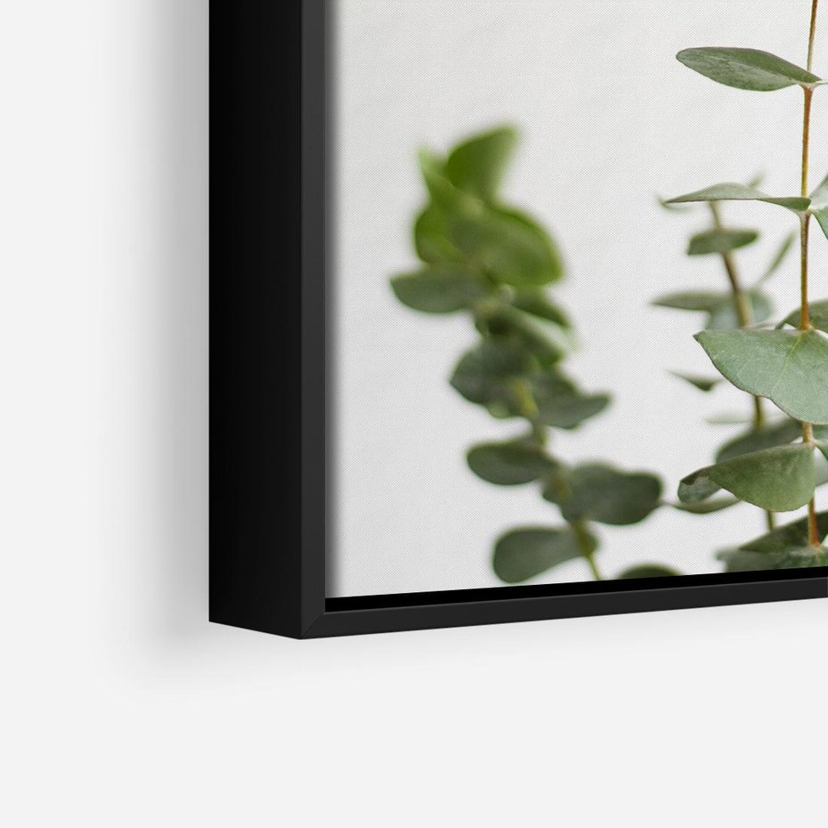 Obraz w ramie 50x50 - Żywa eukaliptusowa zieleń - eukaliptus, zielone - rama czarna