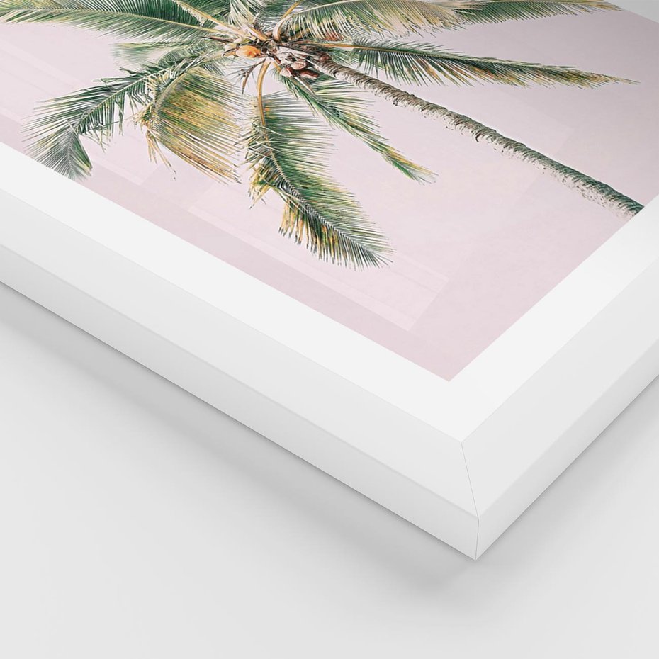 Plakat w ramie 40x50 - Błogość Tropików - palma, tropiki - rama biała