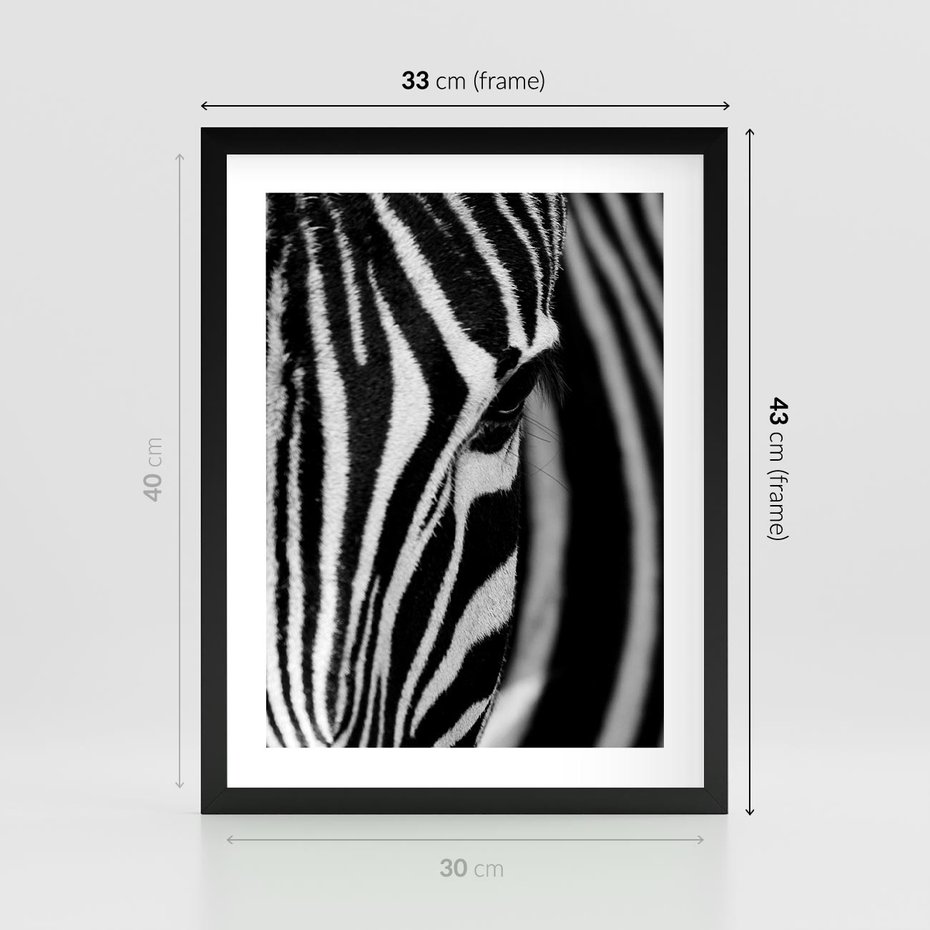 Plakat w ramie 30x40 - Pasy Zebr - zebra, paski - rama czarna