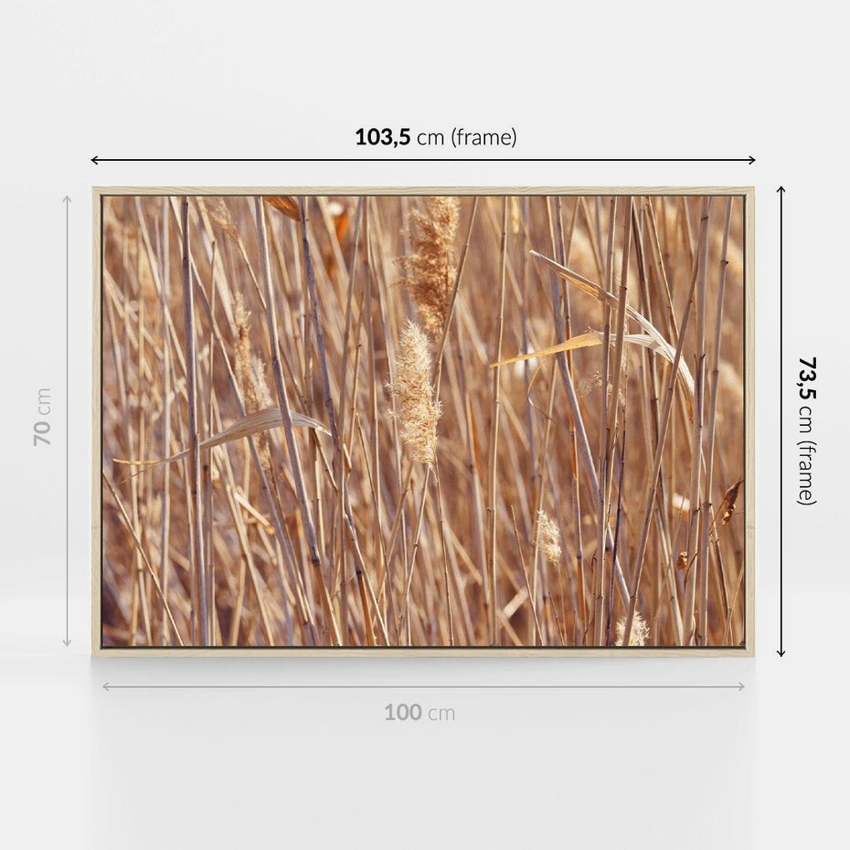 Obraz w ramie 100x70 - Mistrzowskie suche trawy - suche, trawy - rama drewno