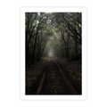 Plakat bez ramy 30x40 - Urok Drogi - las, droga