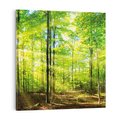 Obraz na płótnie 60x60 - Drzewa w harmonii - las, drzewa