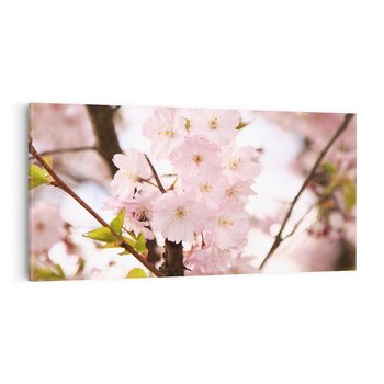 Obraz na płótnie 120x60 - Kwiatowe Różnorodnośc - kwiat, kwiaty