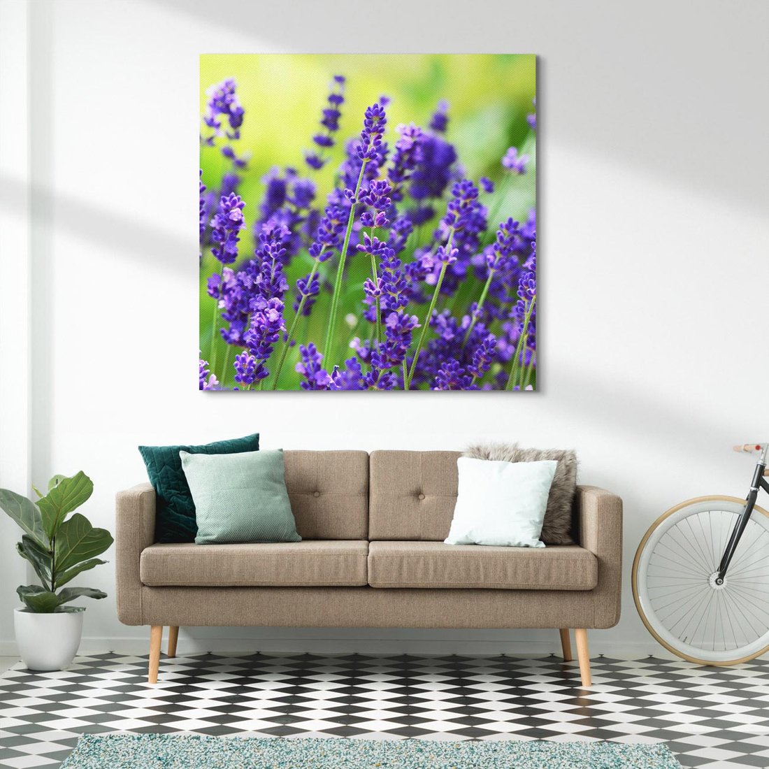 Obraz na płótnie 70x70 - Elegancka lawenda w pełnym rozkwicie - lawenda, kwiaty