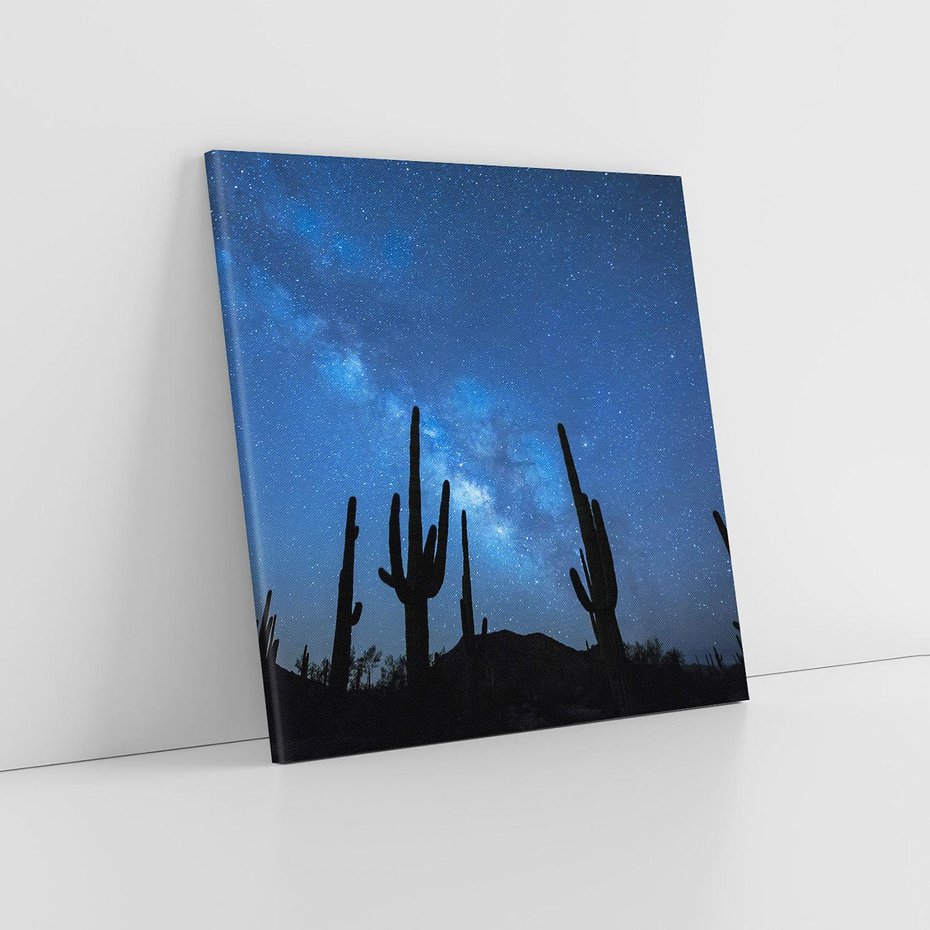 Obraz na płótnie 80x80 - Kaktusy - Niebo z gwiazdami - kaktusy, niebo