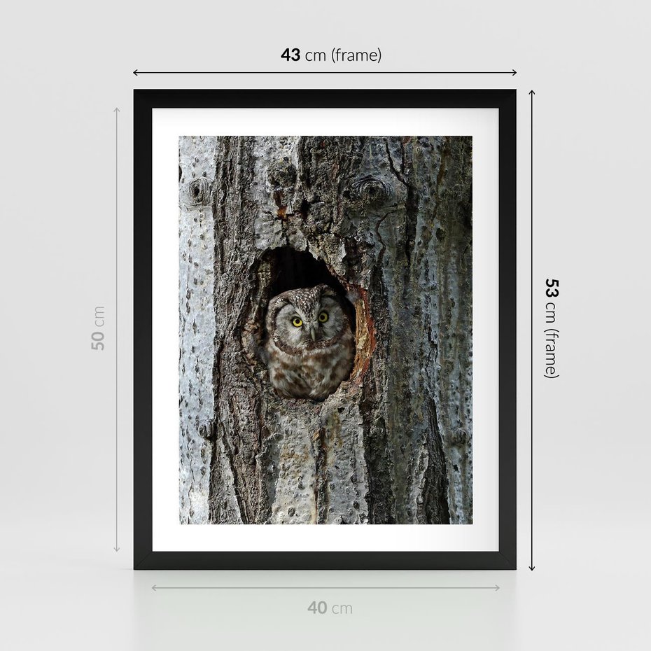 Plakat w ramie 40x50 - Tajemniczy W świecie Nocy - sowa, dziupla - rama czarna