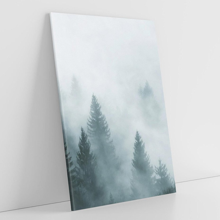 Obraz na płótnie 80x120 - Las w Mgłe - las, we