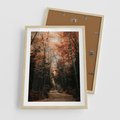 Plakat w ramie 50x70 - Drzewa w Czerwonych Liściach - las, jesienny las - rama drewno