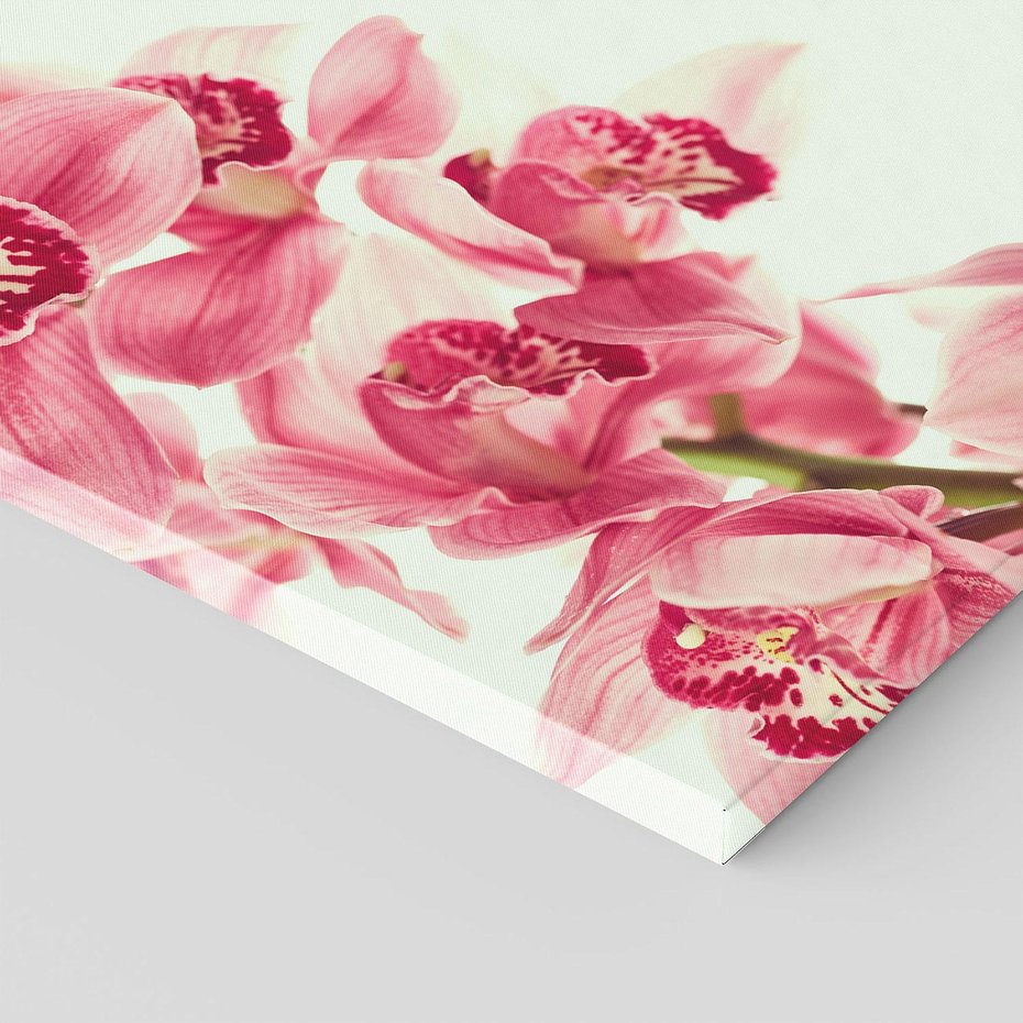 Obraz na płótnie 70x70 - Orchidea - delikatne kwiaty - orchidea, kwiaty