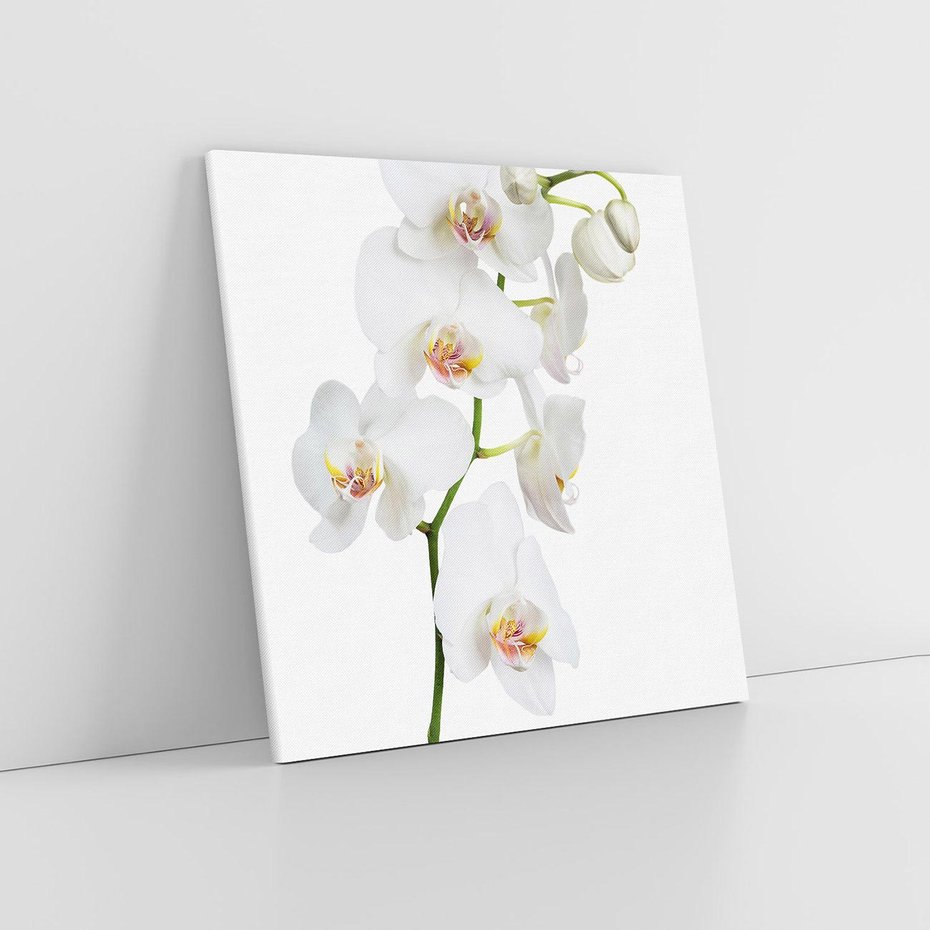 Obraz na płótnie 80x80 - Ekskluzywny Relaks - storczyk, spa