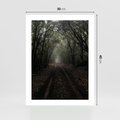 Plakat bez ramy 30x40 - Urok Drogi - las, droga