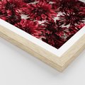 Plakat w ramie 40x50 - Energia Kwiatów - czerwone kwiaty, kompozycja - rama drewno